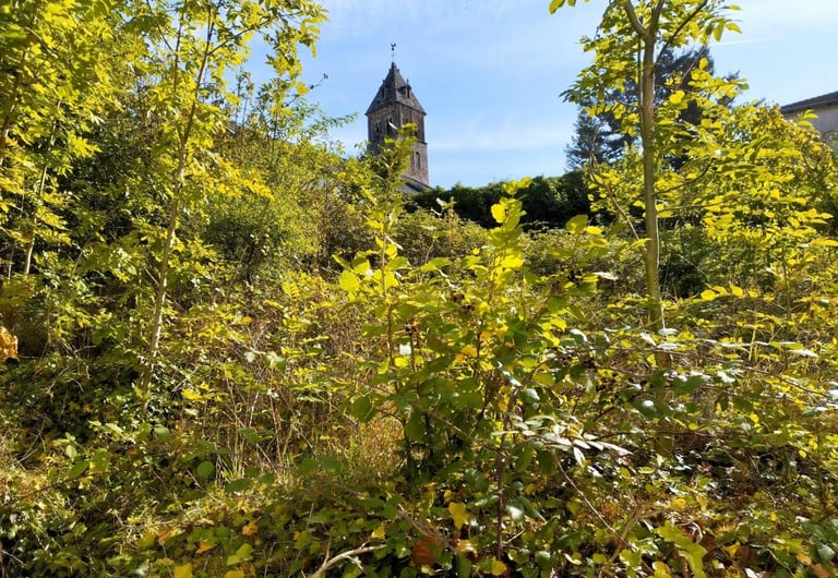 débroussaillage jardin à cluny