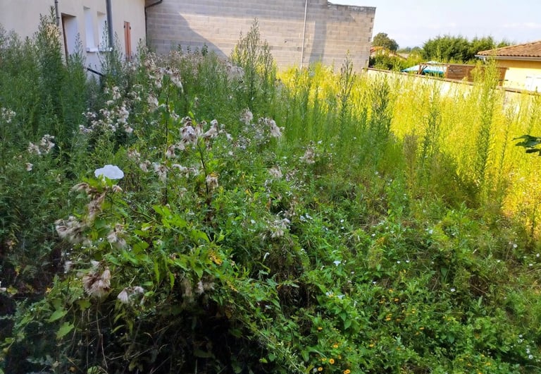 débroussaillage jardin à cluny saone et loire