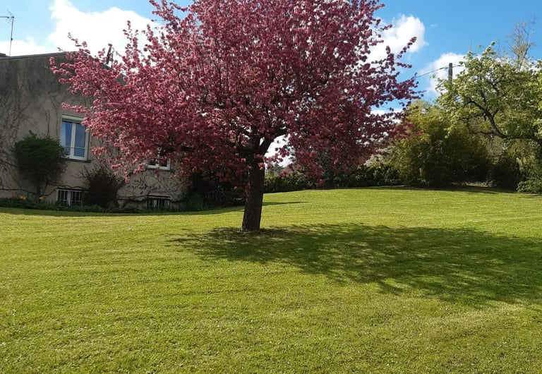 tonte avec ramassage