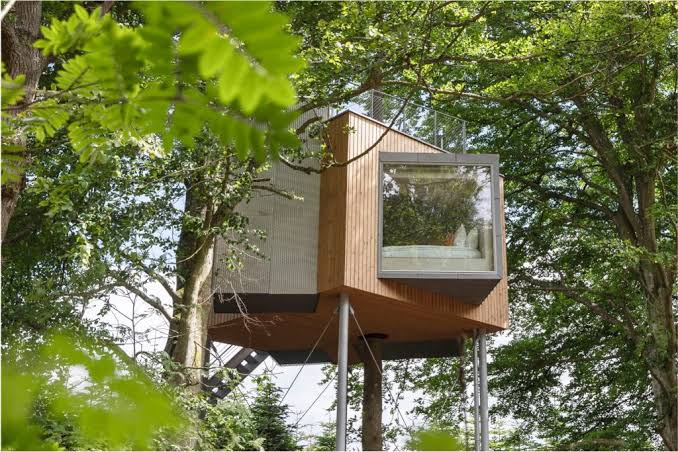 A modern wooden luxury treehouse with a large window nestled in a lush green forest canopy.