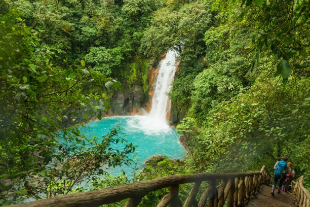a person walking up a wooden walkway with a waterfall in the background