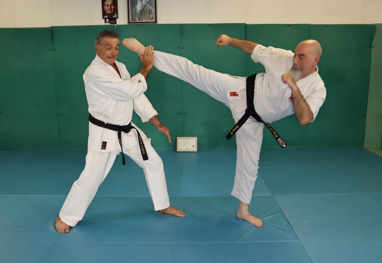 Dominique Hourcade et Antony Nicou Mawashi geri jodan