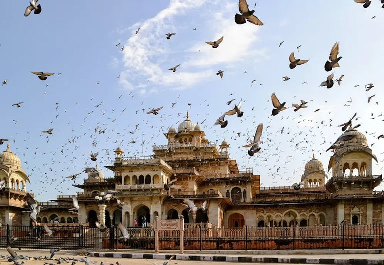 Visit Albert Hall Museum in Jaipur, the oldest museum in Rajasthan known for its Indo-Saracenic architecture.