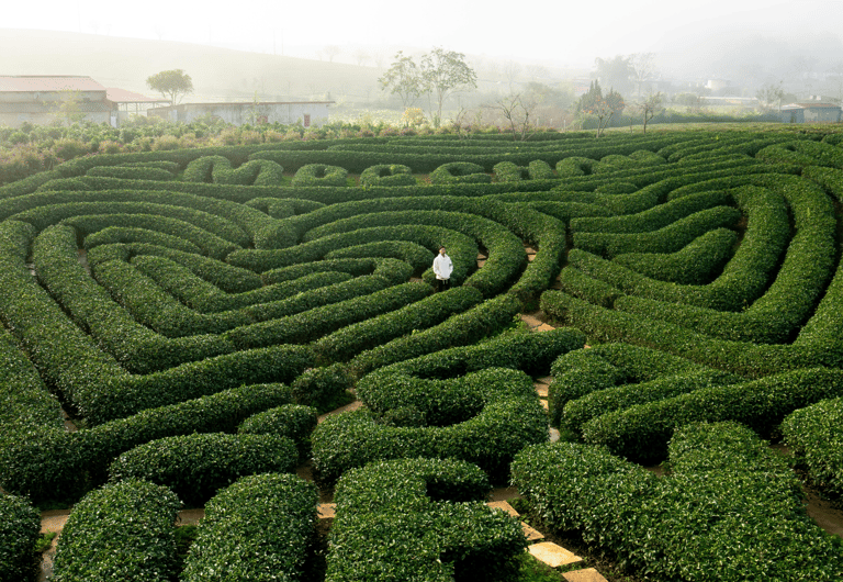 labyrinthe