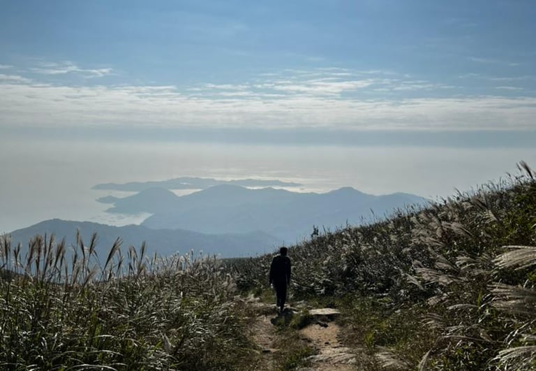 Trekking allow me to reflect