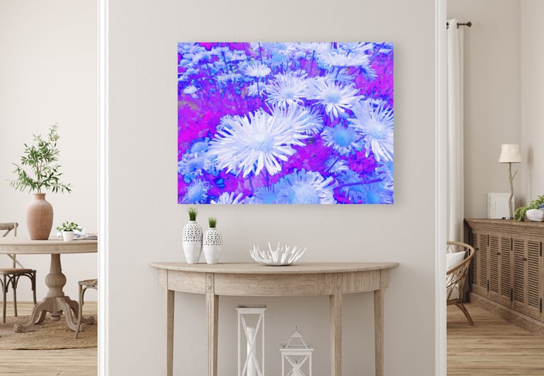 Canvas Wall Print with White Daisy Flowers on pink background, hanging on hall wall.