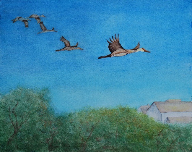 Watercolor - Wildlife WC201018