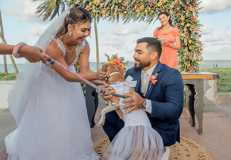 Casamento na Praia