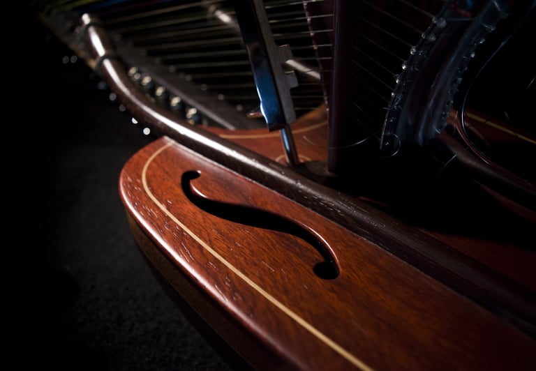 Gros plan sur la table d'harmonie de la kora chromatique à pédale "Jazzy-Kora"