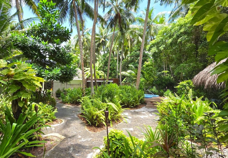 Niyama Maldives spa