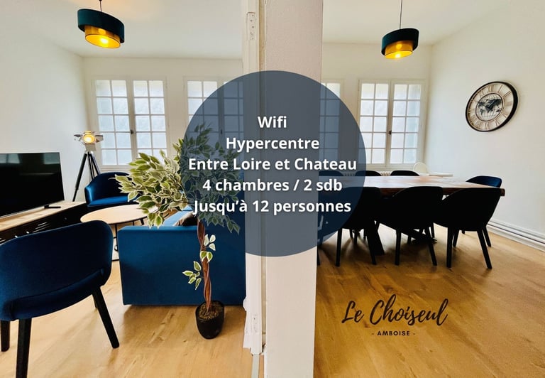 Gite à Amboise sous le château 