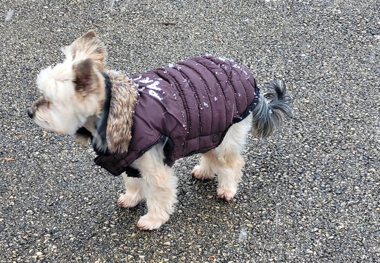 Indiana , le pas comme les autres !!!