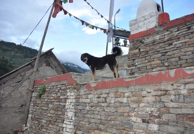 temple complex in Kalpa, Himachal Pradesh, India
