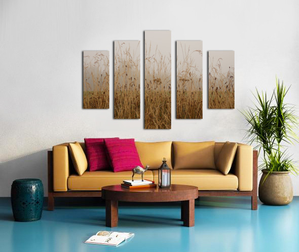 Split Canvas Print of long golden grass and wild flowers in the mist hanging on a wall above a couch