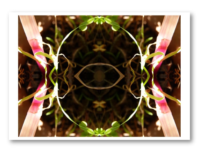 Reproduction Adam de Lamarcelle