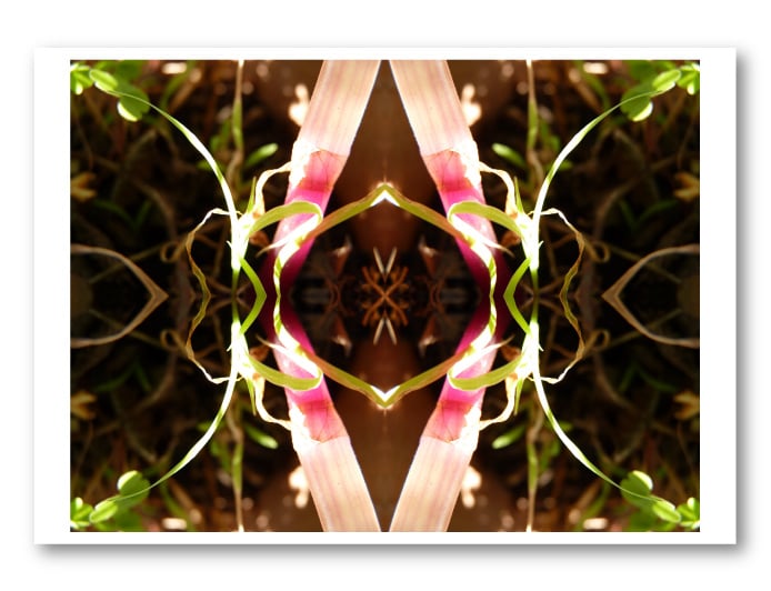 Reproduction Eve de Lamarcelle