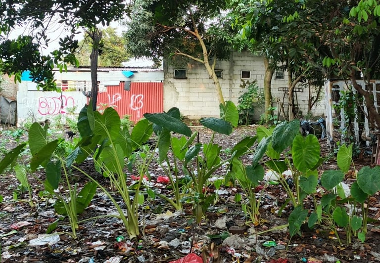 tanah biasa tanah kampung bukan kavling