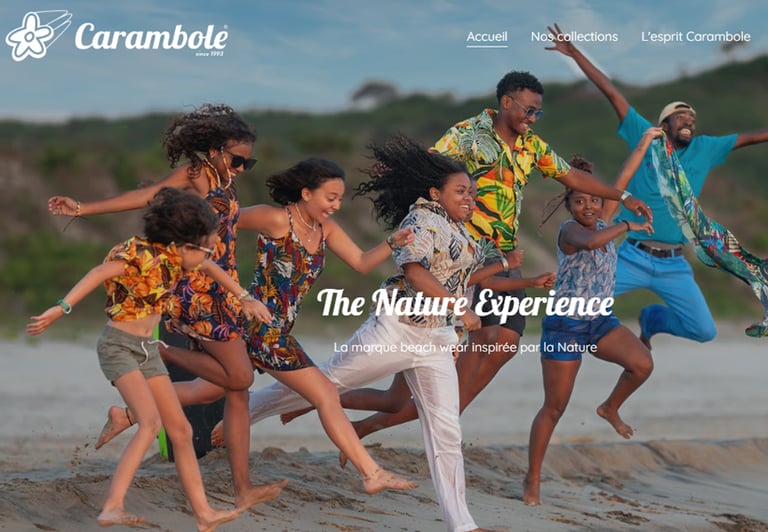 Site web : Carambole