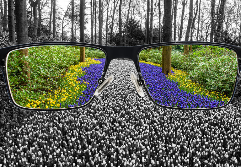 View of color blindness: image is black and white, but through the eyeglasses lens, there is color