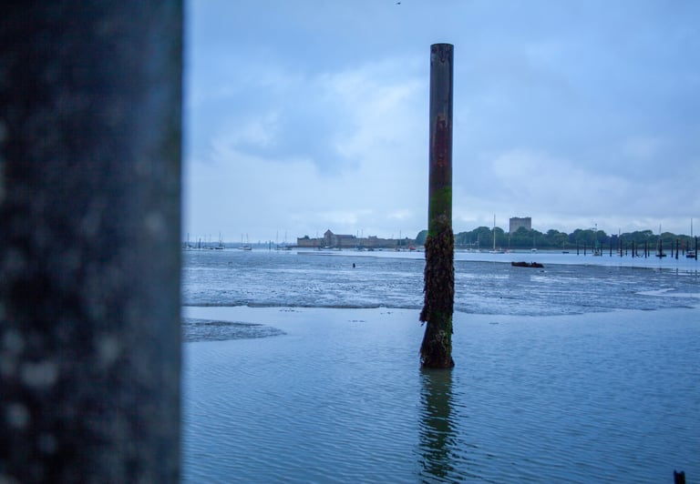A view out to Portchester Castle