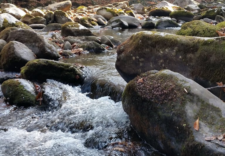 river rocks on a cold winter's day