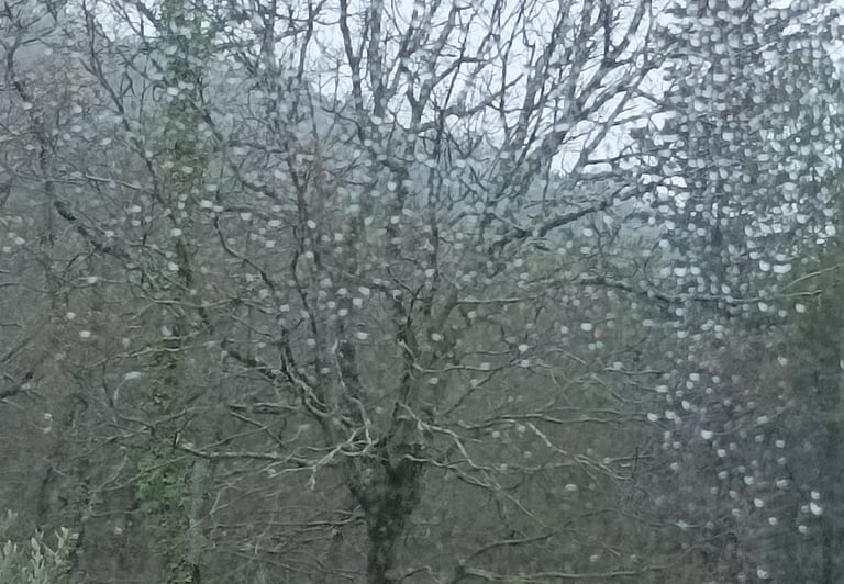 Rain spatters the window