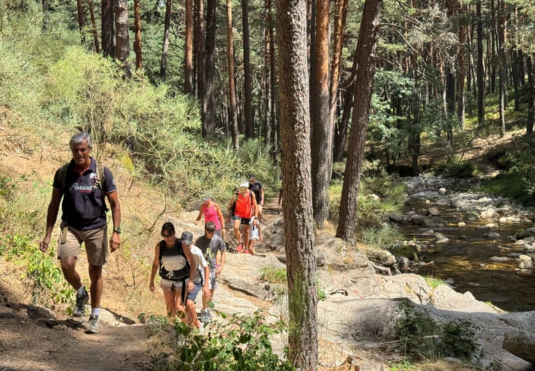 personas caminando por la orilla de un rio en un bosque de pinos