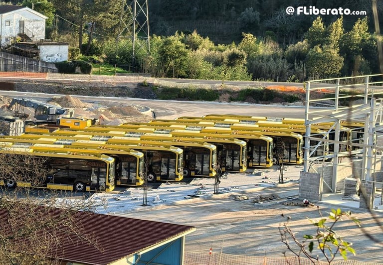 Metrobus autocarros Ceira