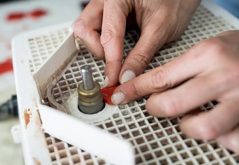 Fotografía: Clara Manzano