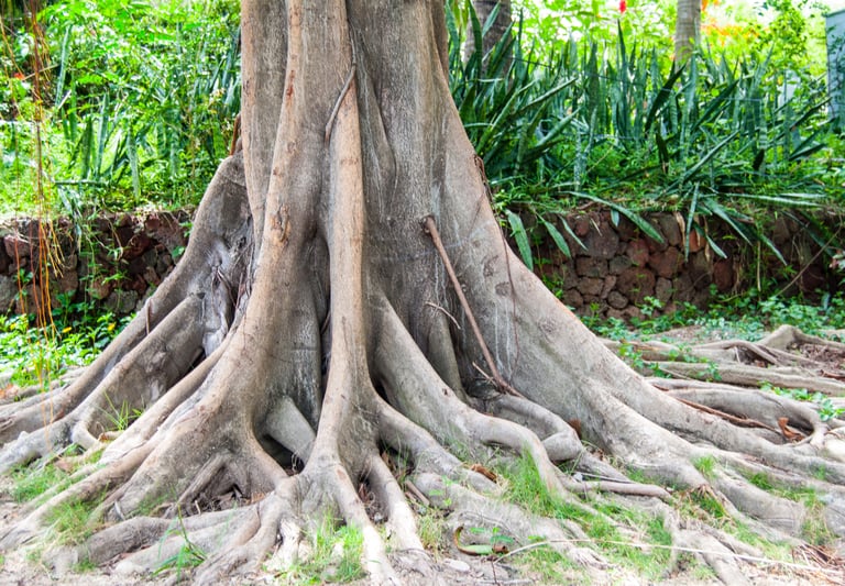 Art and Science of Grounding