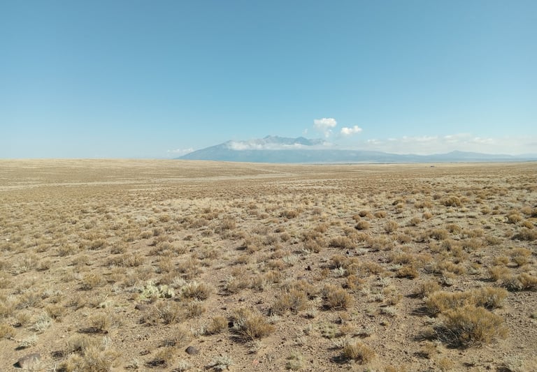 a field with a mountain in the background