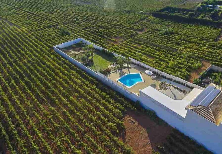 Exclusive pool villa by the sea on a holiday curated by Francesco Travels Villas Weddings & Events