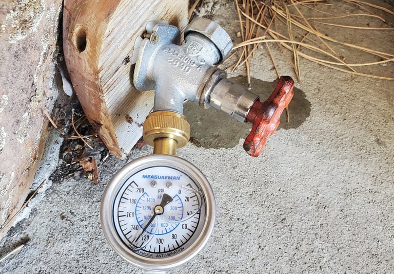 That water pressure is too high, which can damage appliances and lead to other plumbing issues.