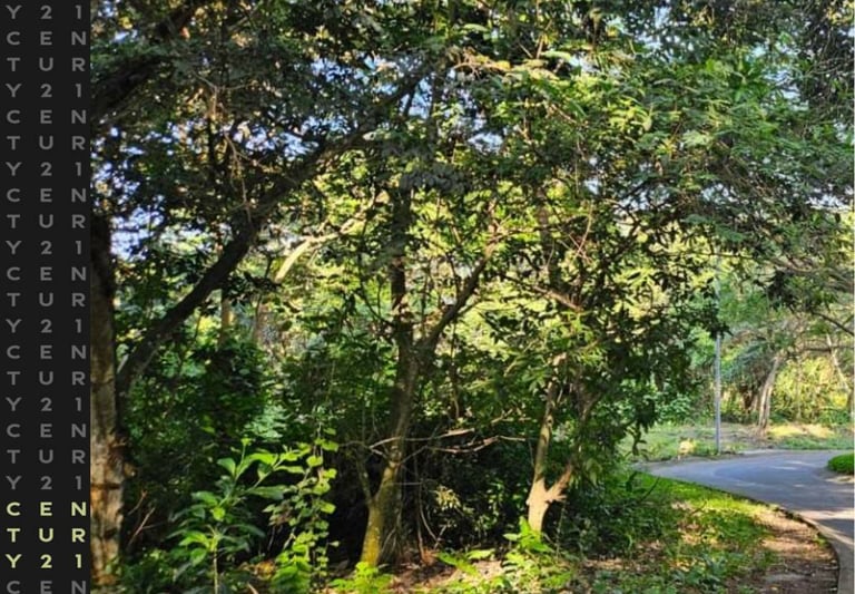 Terreno en venta Altozano colima