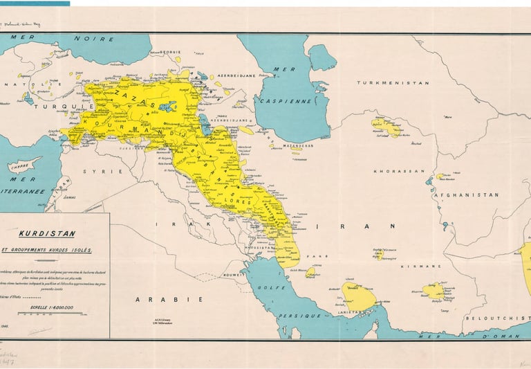 Kurdish Translator and Interpreter