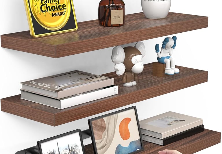 Floating wood wall shelves displaying books, a succulent, and home decor items.