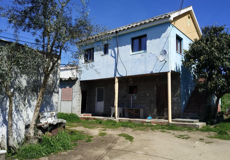 a house with a blue sky and a tree in the background