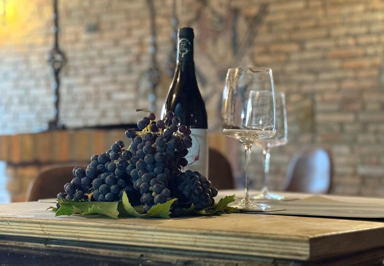 wine oil winetasting bertinoro romagna