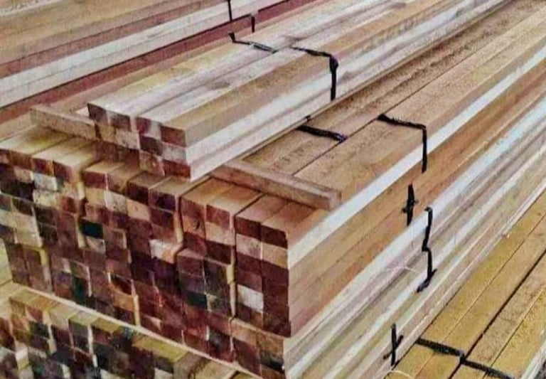 kayu lokal albasia untuk bekisting proyek