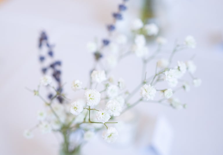 flowers in a vase on a table