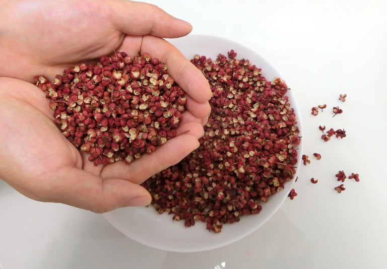 Sichuan Peppercorns in hand
