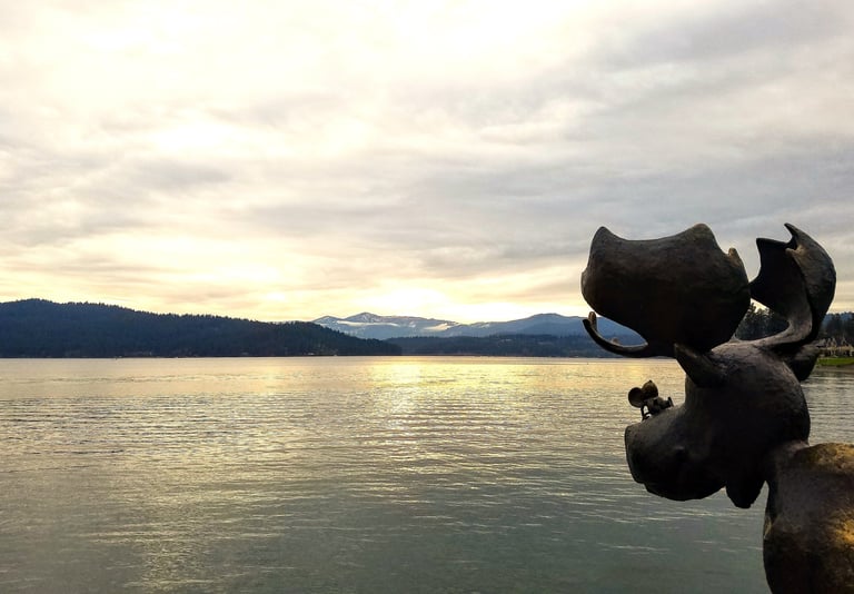 Coeur d'Alene, ID - Statue of a moose over looking Coeur d'Alene lake