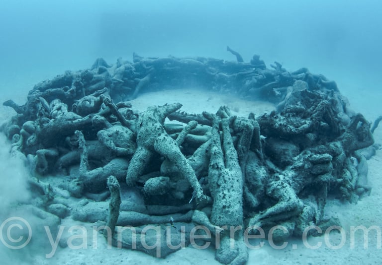 Museo Atlántico « The Human Gyre »