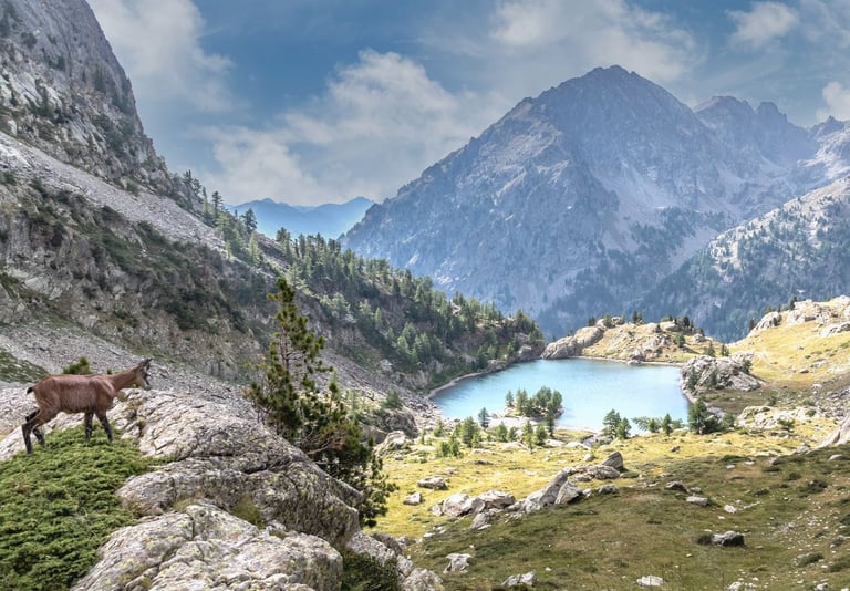 Alps Provence Scenic Mountain Lake Mercantour