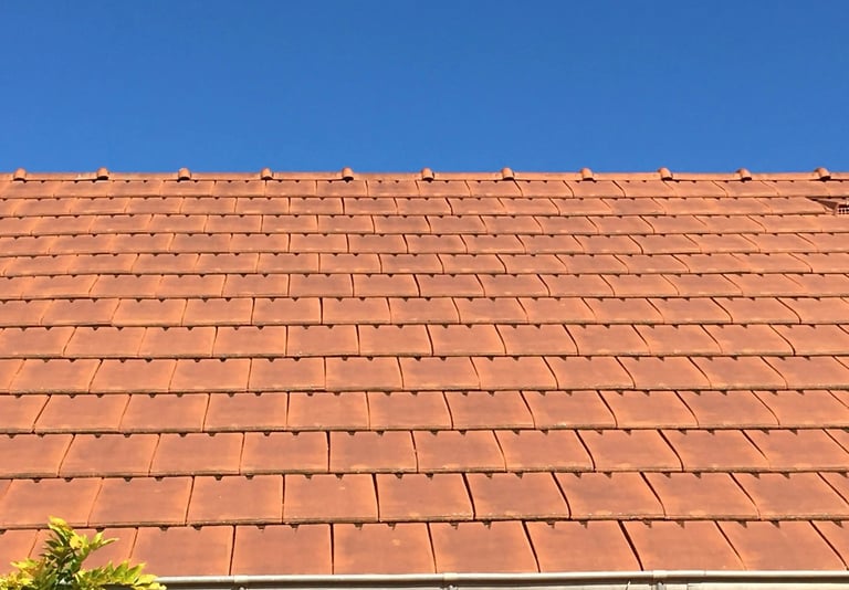 Différents types de toiture pour abri de jardin en bois