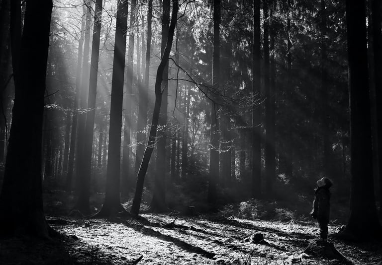 Black and white photo of a person looking up at sun rays filtering through tall trees in a dark forest.