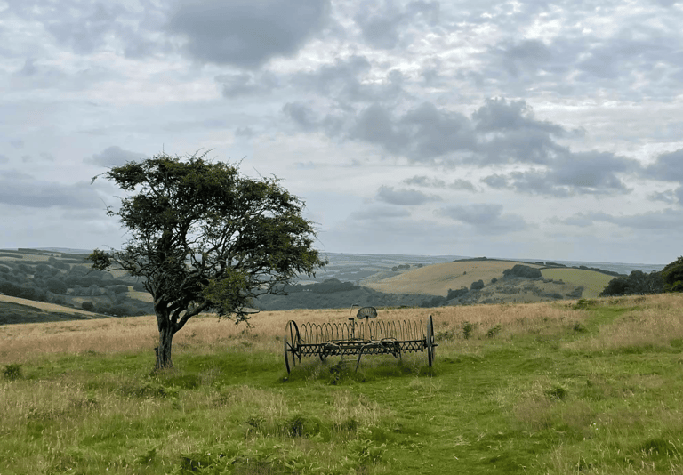 Exmoor