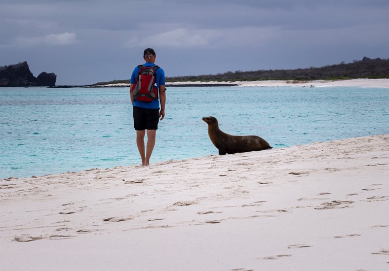 solo traveler galapagos adventure immersive nature exploration