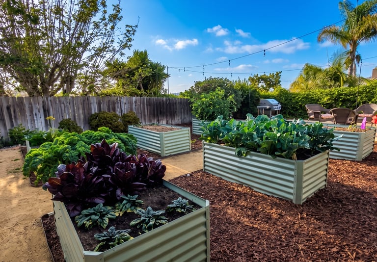Backyard garden with metal raised beds growing lettuce and vegetables next to a patio.