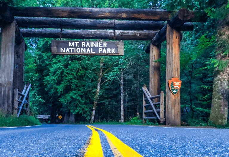 Mount Rainier National Park, a prime "Coolcation" choice among the best US National Parks for Summer